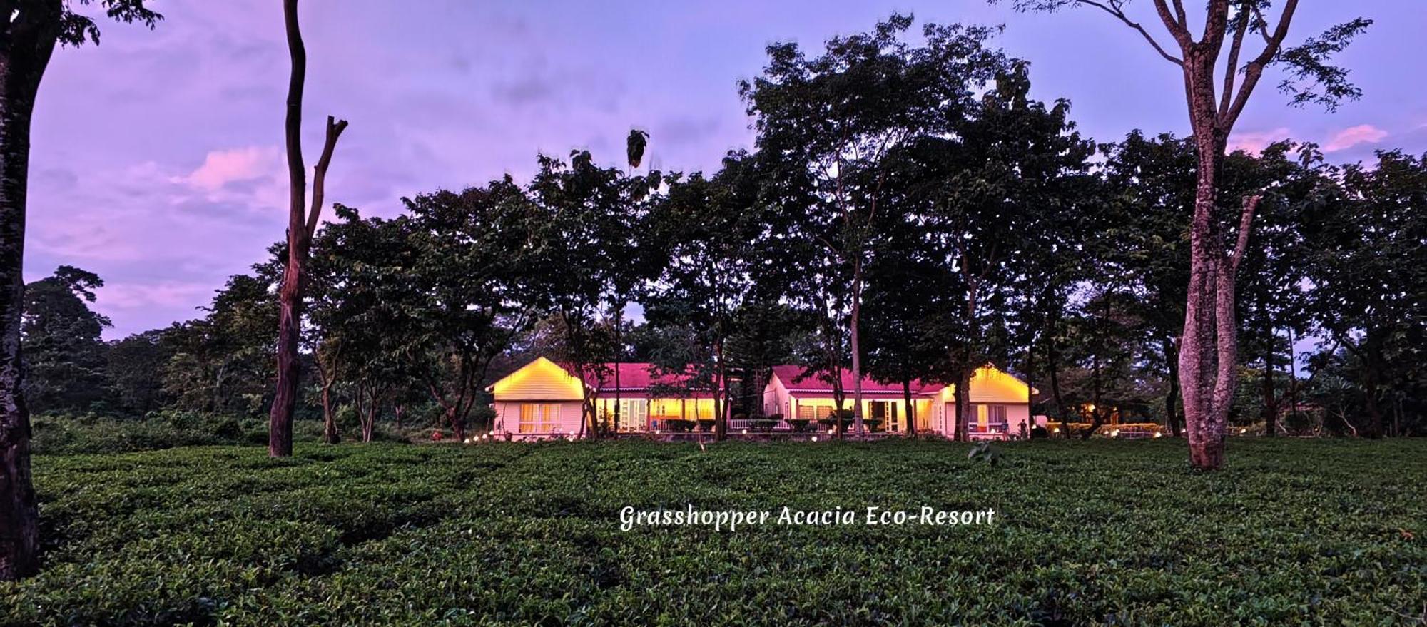 Grasshopper Acacia Eco Resort Madari Hat Esterno foto